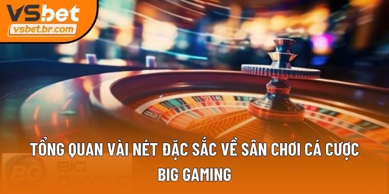 Tổng quan vài nét đặc sắc về sân chơi cá cược Big Gaming